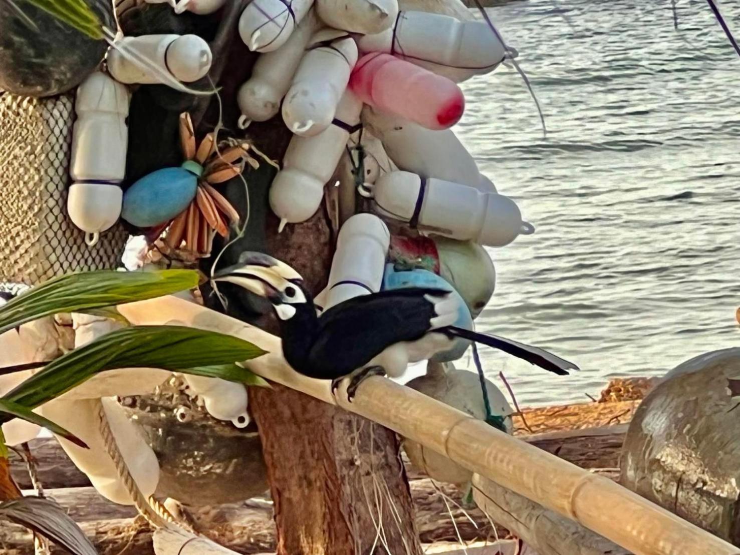 Koh Phaluai Beach Bangalow Ban Ko Nok Taphao Esterno foto