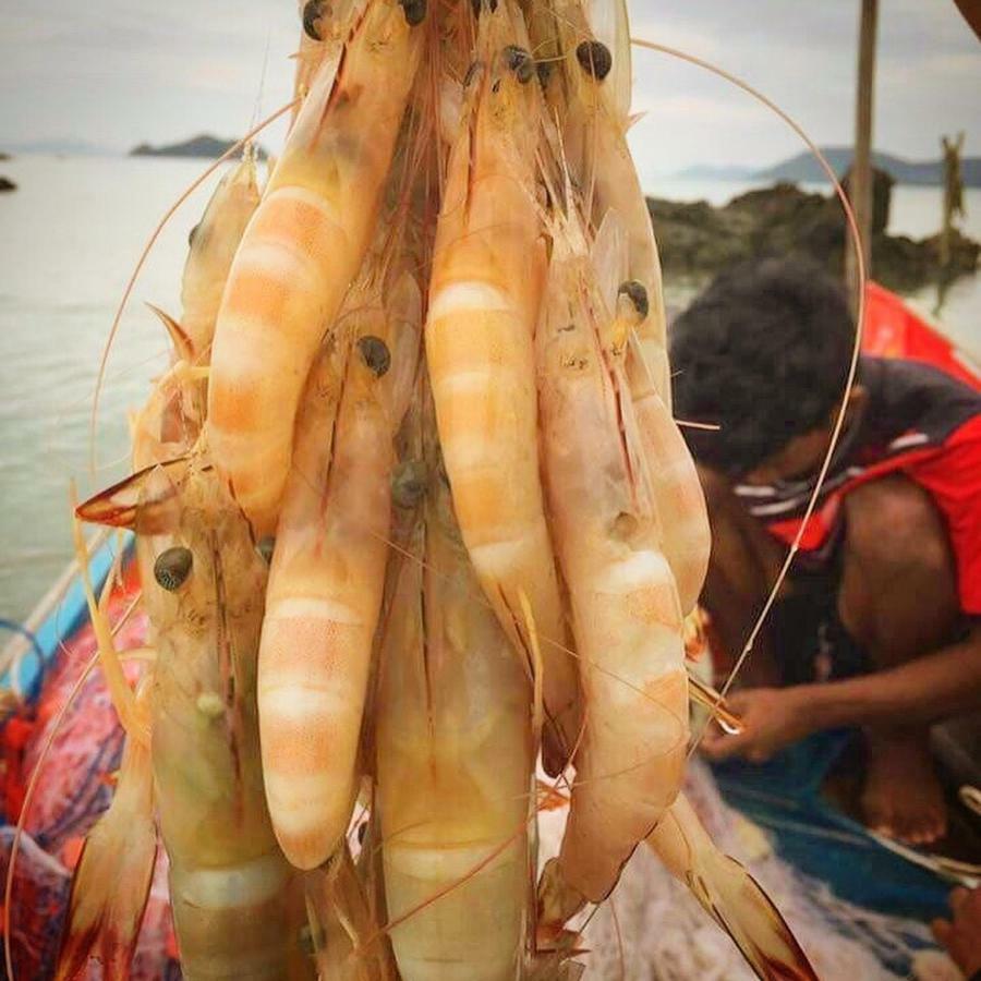 Koh Phaluai Beach Bangalow Ban Ko Nok Taphao Esterno foto